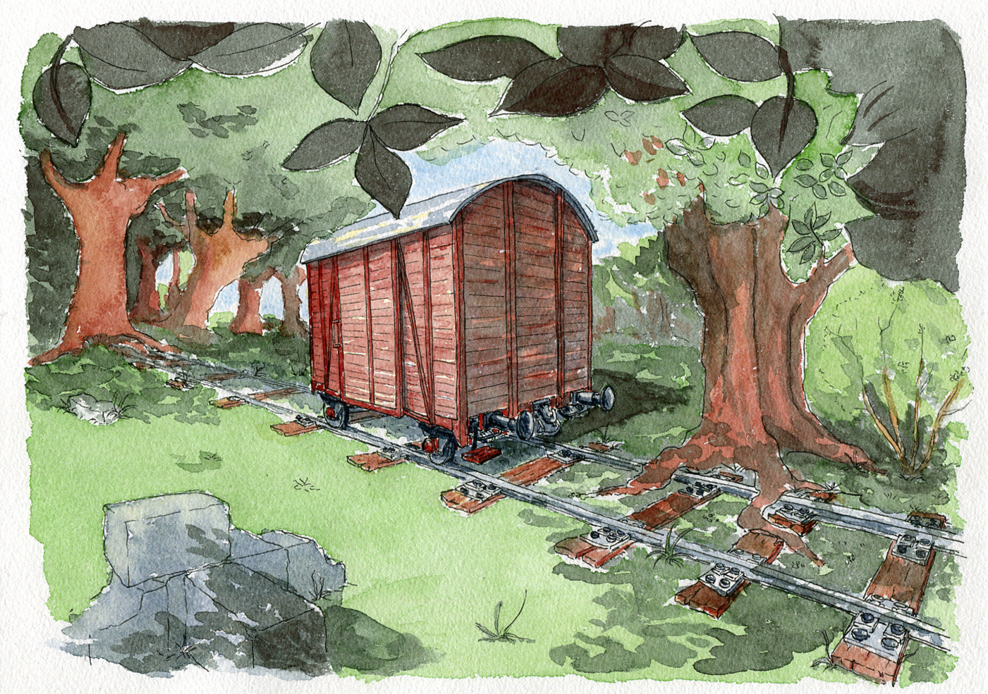 Watercolor & Sketching